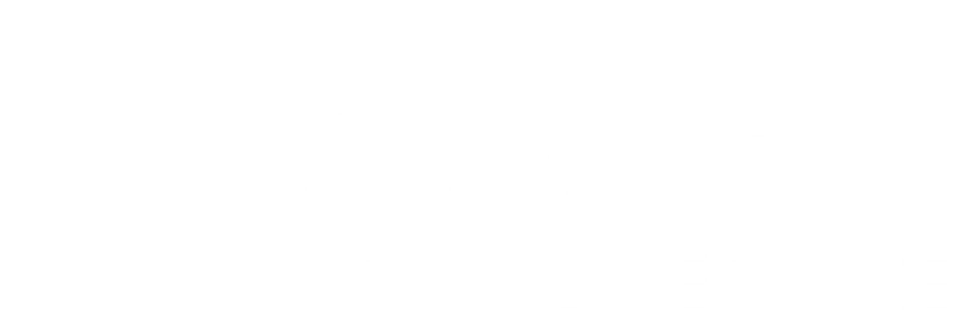 Fagan Pool Services